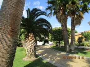 les palmiers